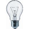 Standaard Lamp Helder 100w E27